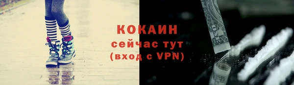 спиды Бородино