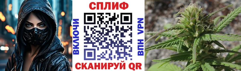 МАРИХУАНА планчик Торопец